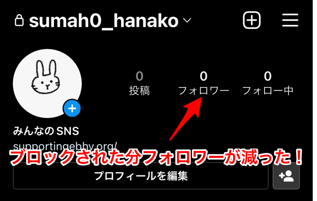 インスタ　ブロック　検証