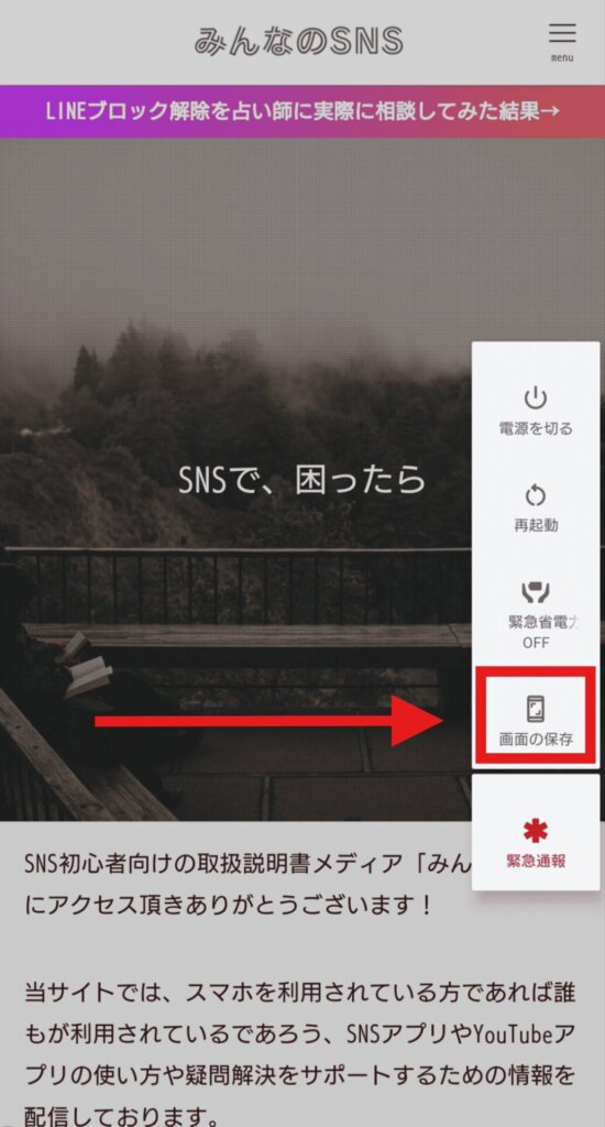 インスタ　スクショ