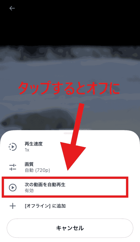 X　自動再生