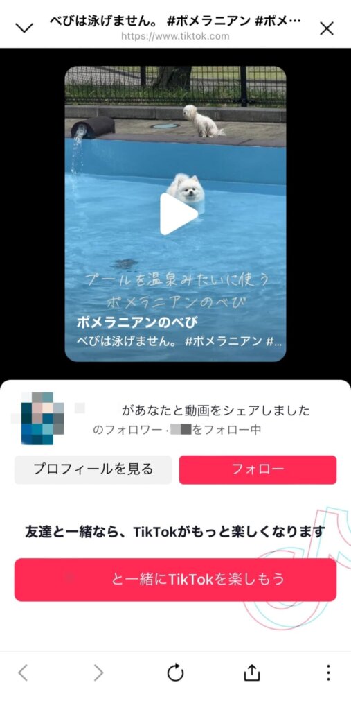 TikTok垢バレの例③