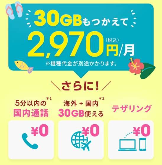 ahamoのキャンペーン 特徴