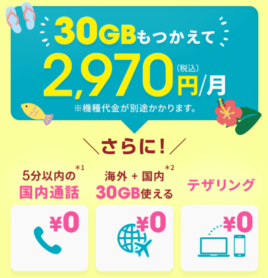 ahamoのプラン詳細案内