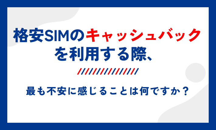 格安SIMのキャッシュバックを利用する際、最も不安に感じることは何ですか?