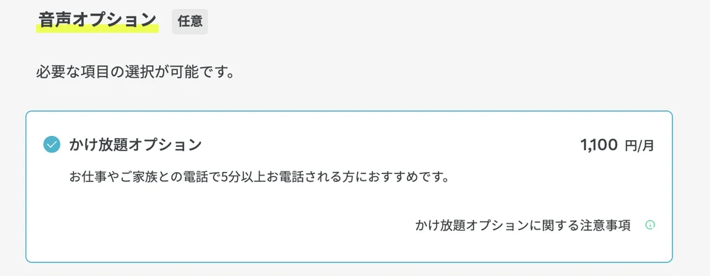 ahamoの通話オプション